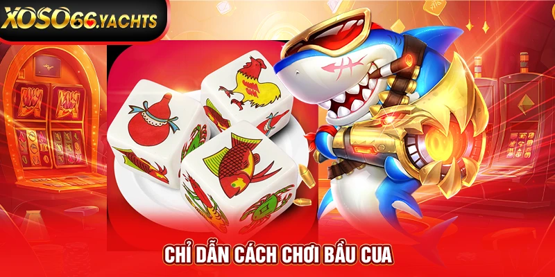 Chỉ dẫn cách chơi bầu cua Chỉ dẫn cách chơi bầu cua